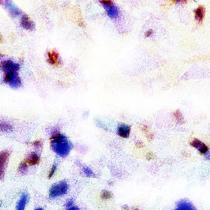 电击体罚少年by笔趣阁
